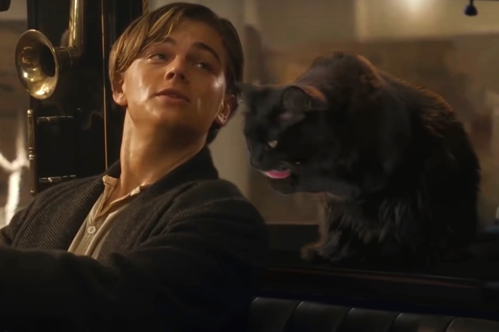 Leonardo DiCaprio in "Titanic" opposite black cat in place of Kate Winslet